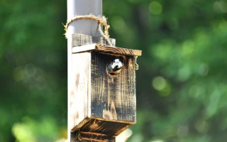 岐阜県百年公園アイコン