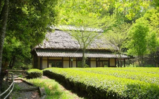 ぎふ清流里山公園アイコン