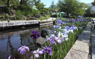 世界淡水魚園アイコン